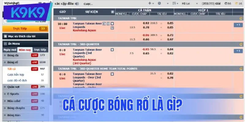 Cá cược bóng rổ là gì?