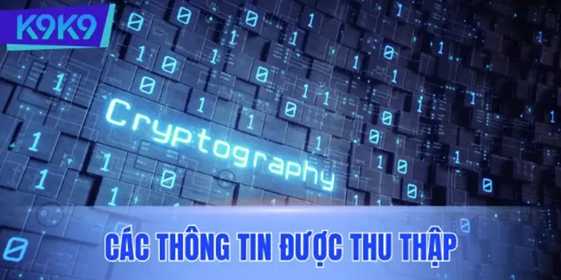 Các thông tin được K9K9 thu thập theo chính sách bảo mật