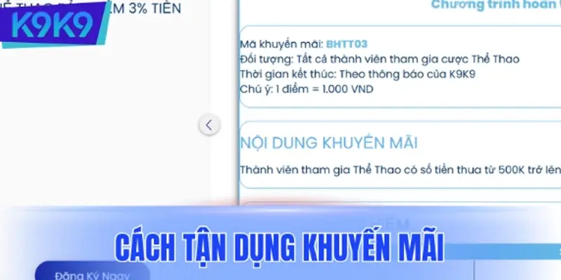 Cách tận dụng khuyến mãi hiệu quả tại K9K9