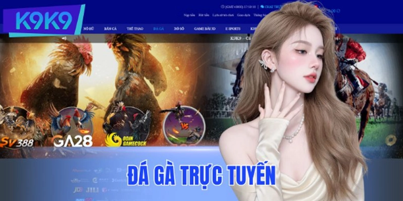 Đá gà trực tuyến - Kịch tính và nghẹt thở Đá gà trực tuyến - Kịch tính và nghẹt thở