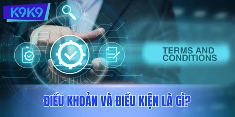 Điều khoản và điều kiện là gì?
