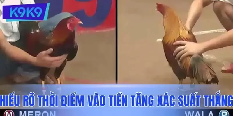 Hiểu rõ thời điểm vào tiền để tăng xác suất thắng