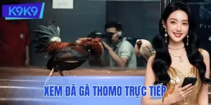 Hướng Dẫn Xem Đá Gà Thomo Trực Tiếp Chuẩn Nhất Cho Tay Mơ