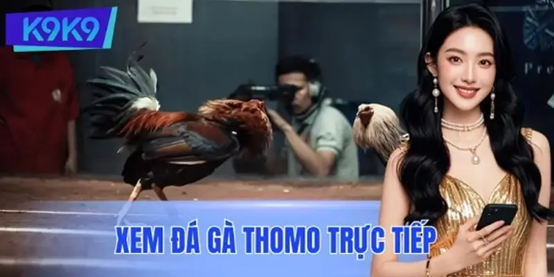 Hướng Dẫn Xem Đá Gà Thomo Trực Tiếp Chuẩn Nhất Cho Tay Mơ
