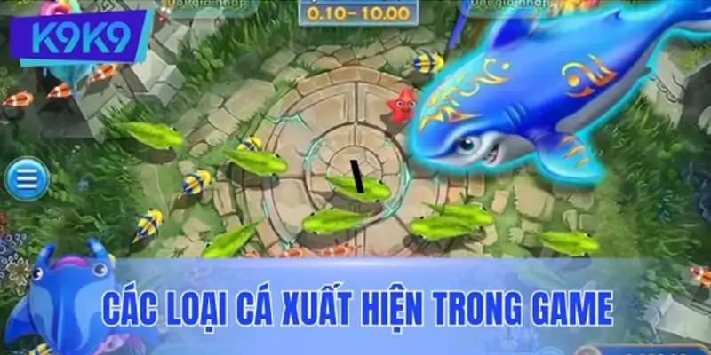 Khám phá các loại cá xuất hiện trong game và mức thưởng chi tiết