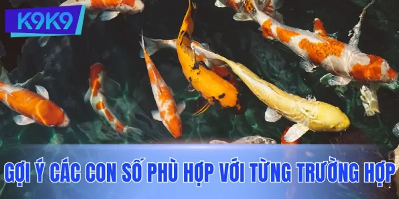 Khi mơ thấy cá đánh số gì? Đề xuất các con số phù hợp với từng trường hợp