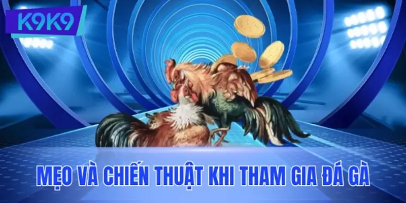Mẹo và chiến thuật khi tham gia đá gà tại nhà cái uy tín K9K9 Mẹo và chiến thuật khi tham gia đá gà