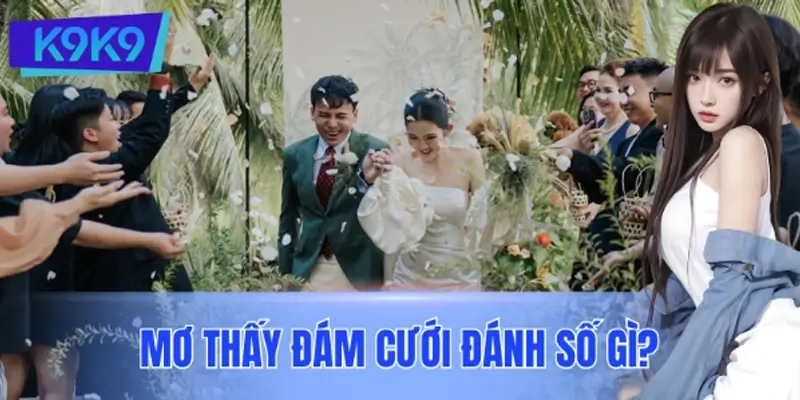 Mơ Thấy Đám Cưới Đánh Số Gì? Những Con Số Chuẩn Nhất Cho Bạn