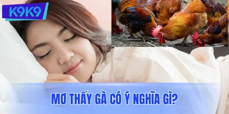 Mơ thấy gà có ý nghĩa gì? Giải mã biểu tượng sâu xa của giấc mơ