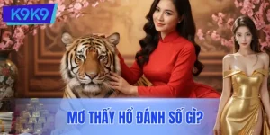 Mơ Thấy Hổ Đánh Số Gì? Hé Lộ Dấu Hiệu Tài Lộc Từ Giấc Mơ