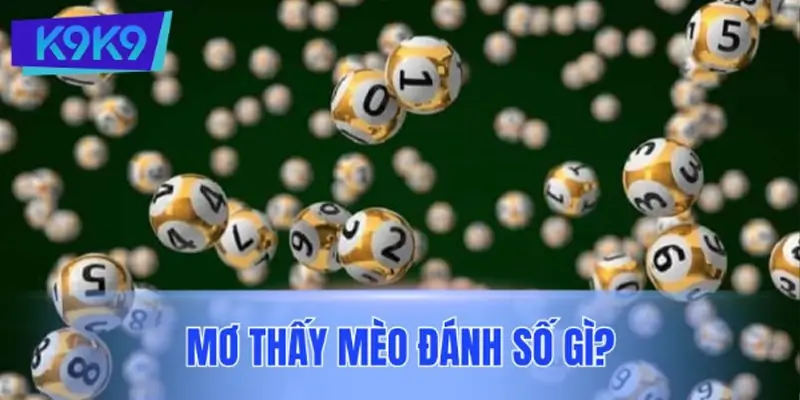Mơ thấy mèo đánh số gì? Bật mí con số may mắn