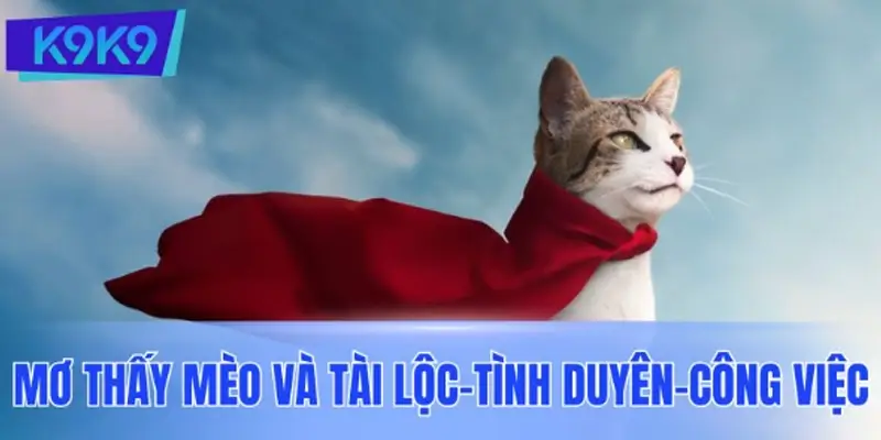 Mơ thấy mèo liên quan gì đến tài lộc – tình duyên – công việc