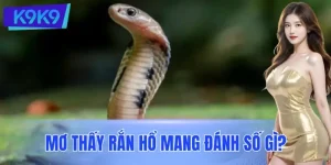 Mơ Thấy Rắn Hổ Mang Đánh Số Gì? Điềm Báo Và Con Số May Mắn
