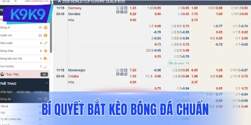 Những bí quyết bắt kèo bóng đá chuẩn cho người mới
