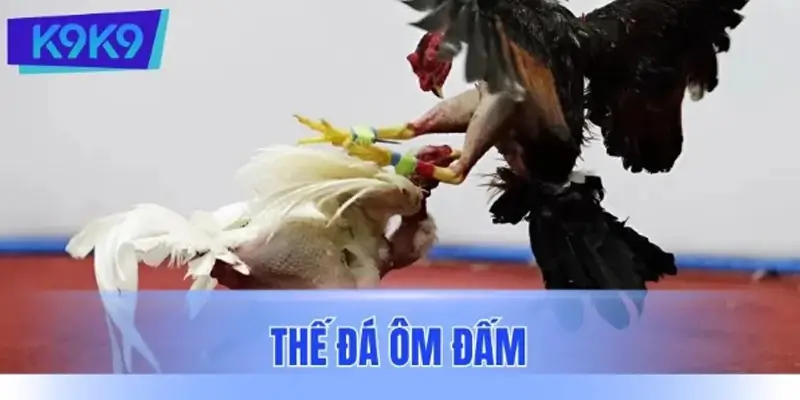 Thế đá ôm đấm Thế đá ôm đấm