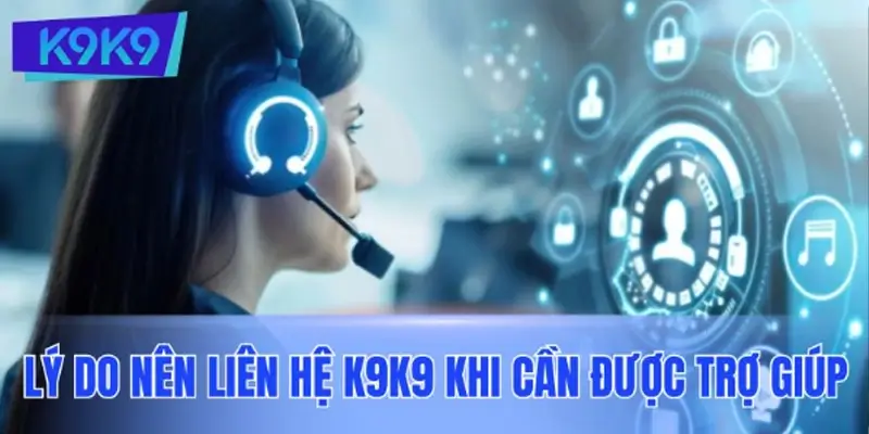 Vì sao nên liên hệ K9K9 khi cần hỗ trợ?